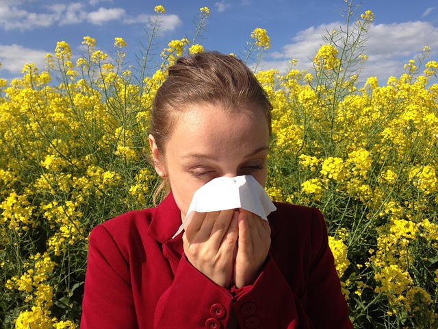 allergies rhume des foins magnétisme