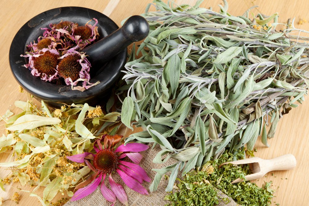 plantes-medicinales